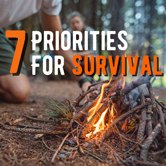 7 Survival Priorites